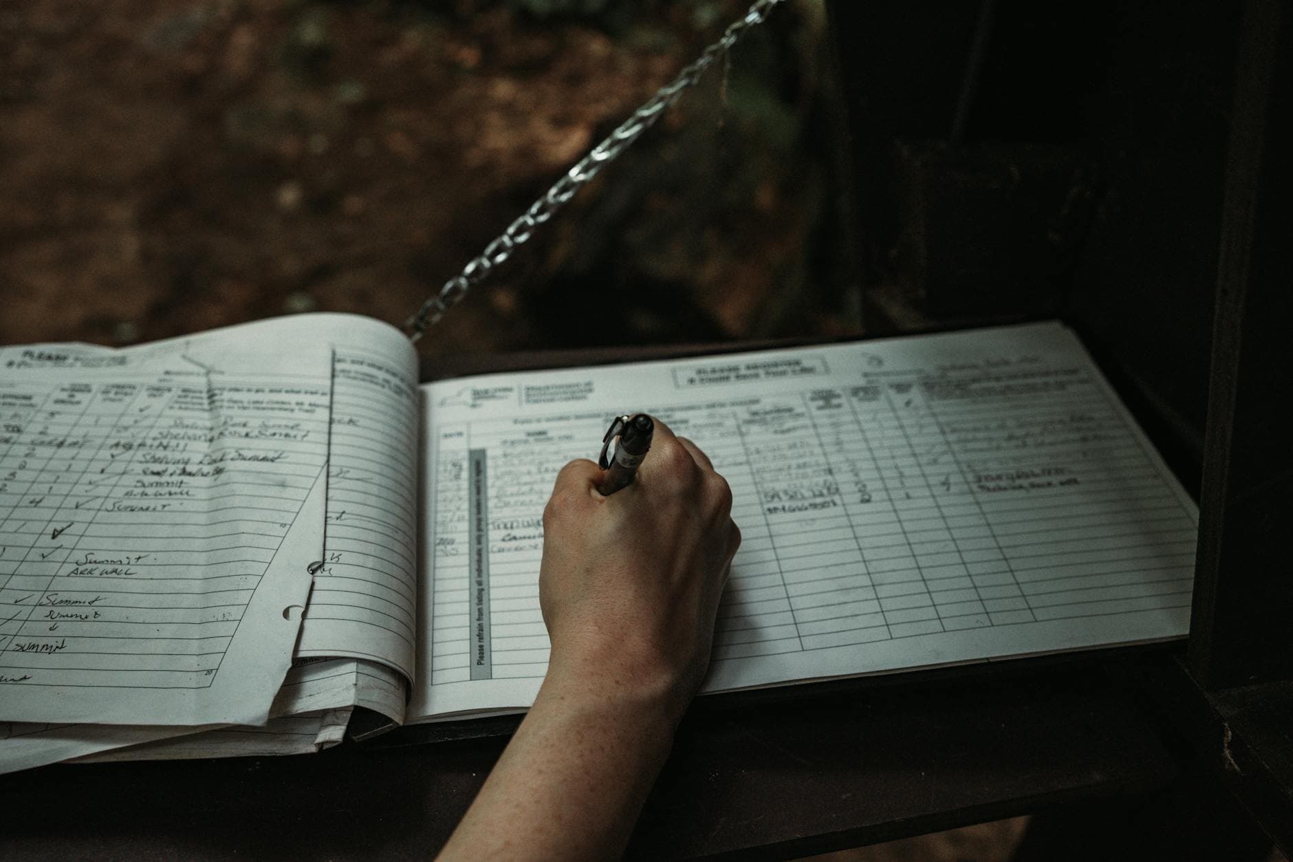 A UK accountant reviewing a dividend voucher and company ledger on a desk with a laptop and printed documents.