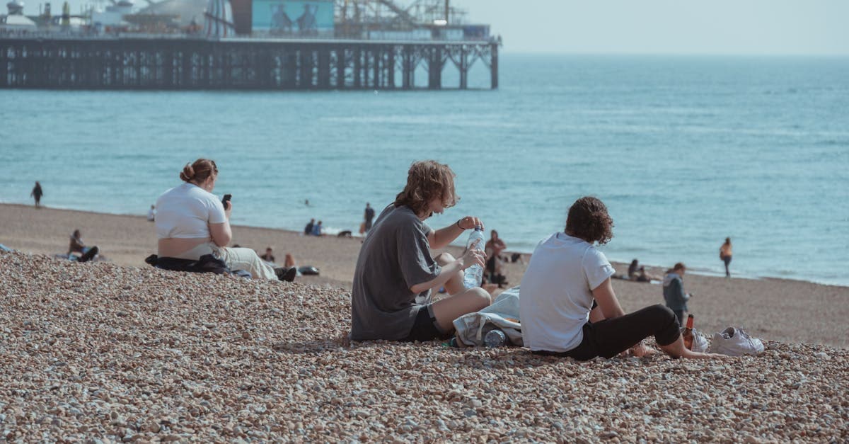 People enjoying a sunny day at Brighton Beach with the iconic pier in the background.