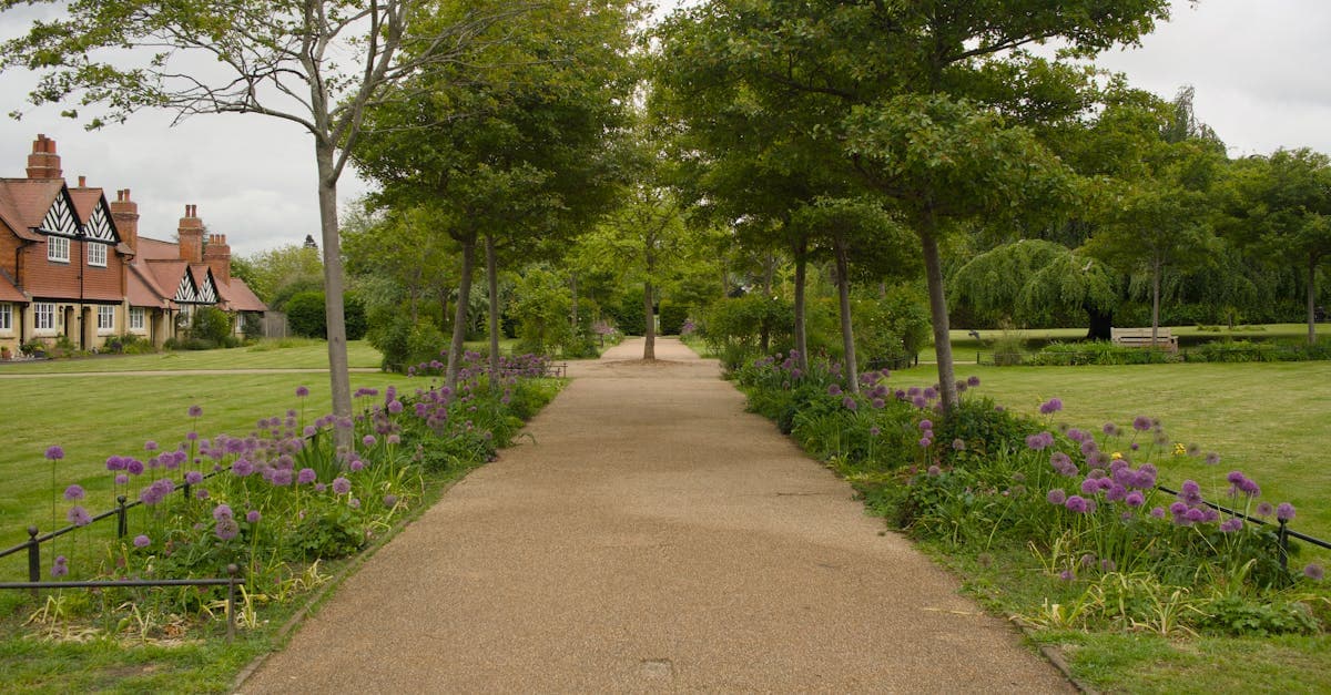 A picturesque pathway lined with trees and purple flowers in Cheltenham, England.