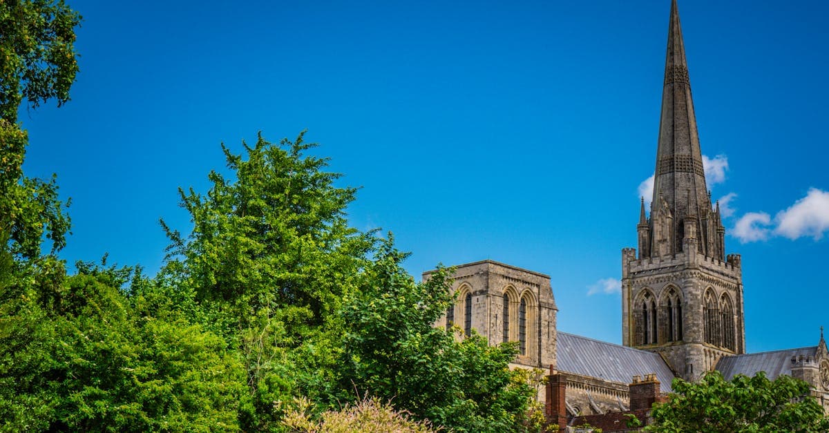 Stunning view of Chichester Cathedral surrounded by vibrant green foliage on a clear day.