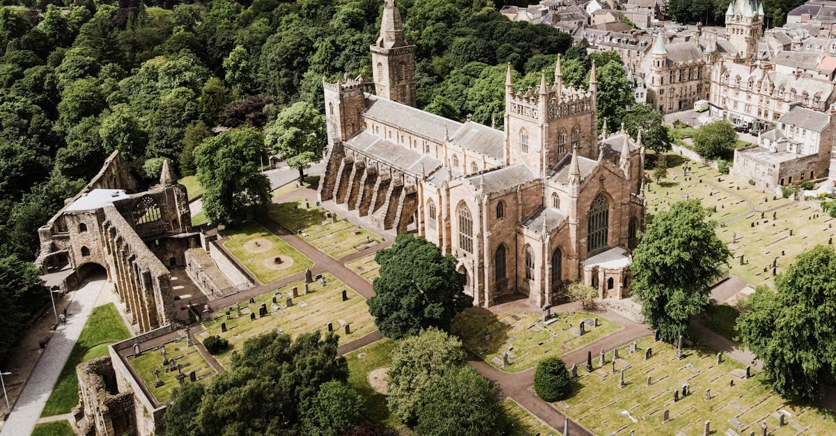 Aerial shot of a historic cathedral surrounded by trees and a cemetery.