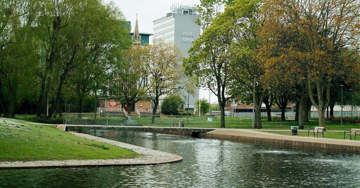 Peaceful park setting in Luton with the Vista Tower and serene water view surrounded by trees.