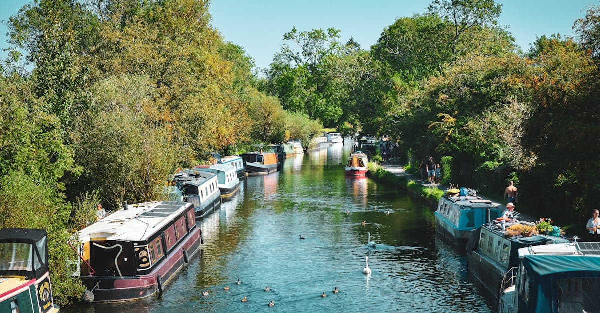 Peaceful canal with moored houseboats and swans, perfect for leisure and relaxation.
